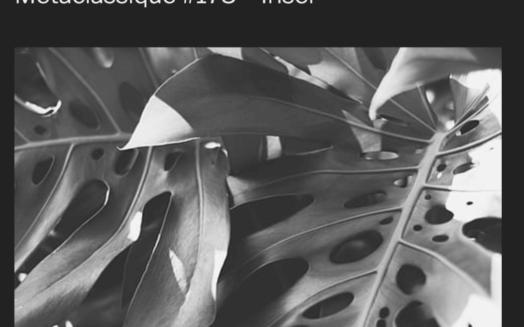 Metaclassique #175 – Iriser – Jeu Céleste