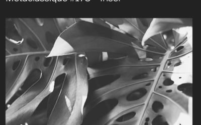 Metaclassique #175 – Iriser – Jeu Céleste