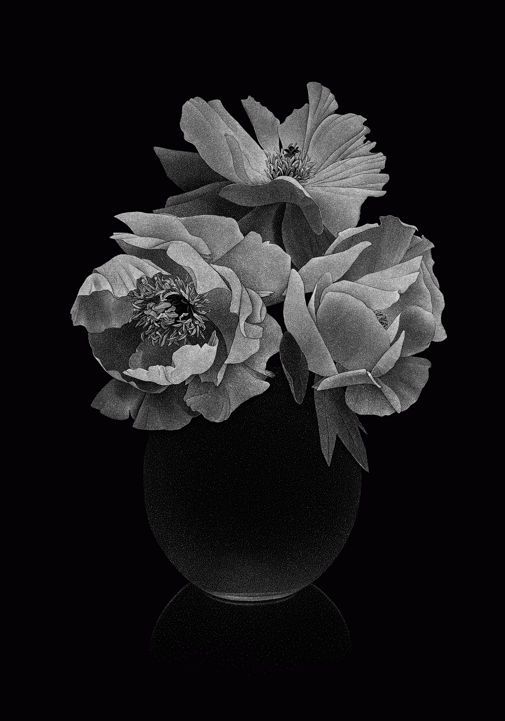 Roses et pivoines Thilo Westermann
